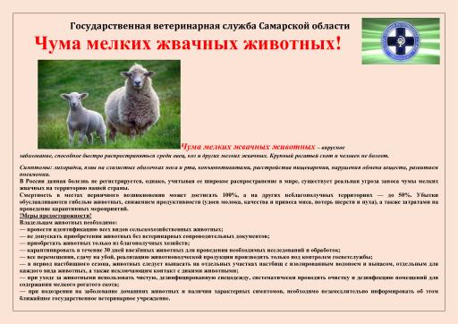 Чума мелких жвачных животных памятка