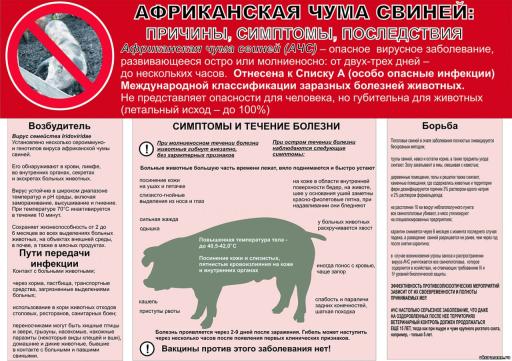 Памятка по ачс ещё